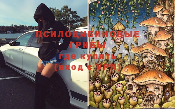 бутират Елабуга
